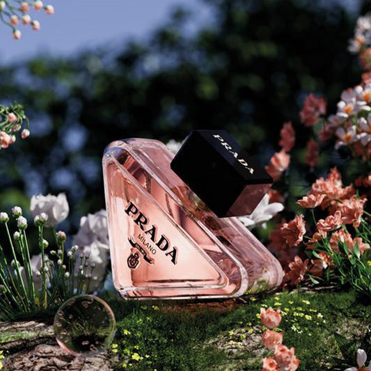 Prada Paradoxe
